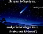 Az igazi boldogság az, amikor hullócsillagot látsz, és nincs mit kívánnod