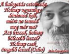 A halogatás ostobaság. Holnap ugyanúgy döntened kell, miért ne tennéd meg már ma? Azt hiszed, holnap bölcsebb leszel? Holnap csak öregebb leszel.-Osho
