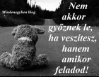 Nem akkor győznek le, ha veszítesz, hanem amikor feladod!