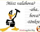 Mész valahova? -aha.. hova? -tönkre..