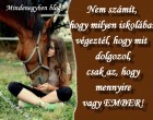 Nem számít, hogy milyen iskolában végeztél, hogy mit dolgozol, csak az, hogy mennyire vagy EMBER!