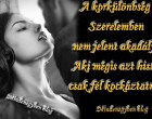 A korkülönbség Szerelemben nem jelent akadályt. Aki mégis azt hiszi, csak fél kockáztatni!