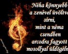 Néha könnyebb a zenével üvöltve sírni, mint a néma csendben arcodra fagyott mosollyal üldögélni..