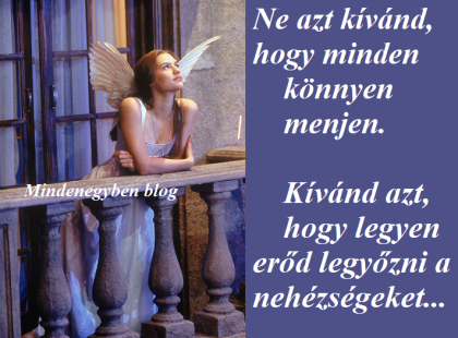 Ne azt kívánd, hogy minden könnyen menjen. Kívánd azt, hogy legyen erőd legyőzni a nehézségeket...