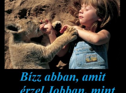 Bízz abban, amit érzel.Jobban, mint abban, amit gondolsz