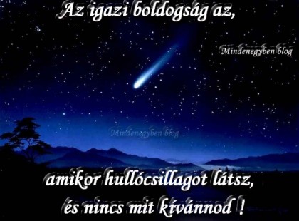 Az igazi boldogság az, amikor hullócsillagot látsz, és nincs mit kívánnod