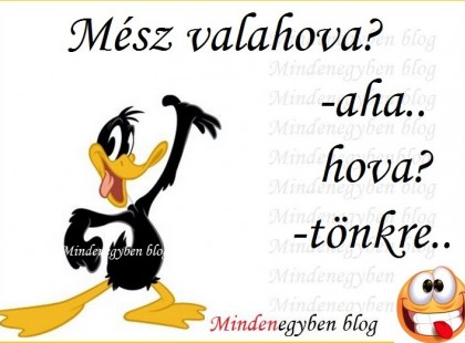Mész valahova? -aha.. hova? -tönkre..
