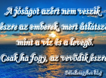 A jóságot azért nem veszik észre az emberek, mert átlátszó, mint a víz és a levegő. Csak ha fogy, az vevődik észre.