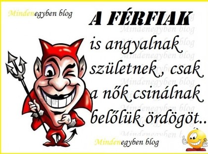 A férfiak is angyalnak születnek , csak a nők csinálnak belőlük ördögöt.