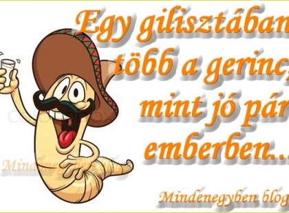 Egy gilisztában több a gerinc, mint jó pár emberben...