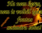 Ha nem keres, nem is voltál igazán fontos számára soha!