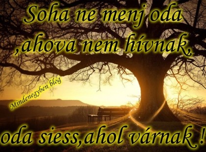 Soha ne menj oda,ahova nem hívnak,oda siess,ahol várnak !