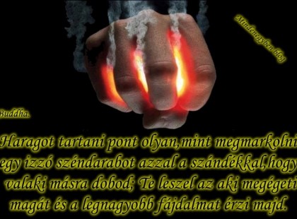 Haragot tartani pont olyan,mint megmarkolni egy izzó széndarabot azzal a szándékkal,hogy valaki másra dobod; Te leszel az aki megégeti magát és a legnagyobb fájdalmat érzi majd. - Buddha
