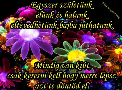 Egyszer születünk,élünk és halunk,eltévedhetünk,bajba juthatunk.Mindig van kiút,csak keresni kell,hogy merre lépsz,azt te döntöd el!