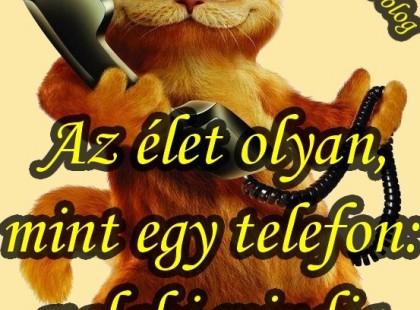 Az élet olyan, mint egy telefon: valaki mindig beleszól!