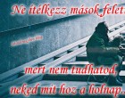 Ne ítélkezz mások felett, mert nem tudhatod, neked mit hoz a holnap....