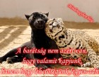 A barátság nem azért van, hogy valamit kapjunk, hanem hogy lehetőségünk legyen adni.