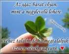 Az igaz barát olyan, mint a négylevelű lóhere.Nehéz találni,de ha megtaláljuk szerencsések vagyunk.♥
