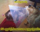 Ne aggódj,hamarosan meggyógyulsz