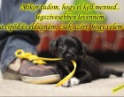 Mikor tudom, hogy el kell menned..legszívesebben levenném a cipőd és eldugnám, csak azért, hogy velem lehess!