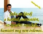 Soha ne küzdj a barátok szeretetéért, az igaziért nem kell, a hamisért meg nem érdemes...