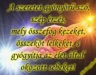 A szeretet gyönyörű szó,szép érzés, mely összefog kezeket,összeköt lelkeket, s gyógyítja az élet által okozott sebeket!