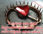 A szívem nem járda.hogy mindenféle ember járja..ezért útépítés miatt zárva!!!