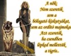 A nők nem szeretik sem a bólogató kiskutyákat, sem az ordítozó majmokat. A nők azt szeretik, ha csendben lépked mellettük a Tigris.