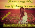 Nem az a nagy dolog, hogy közel lenni és szeretni, hanem távol lenni és kitartani!! ♥