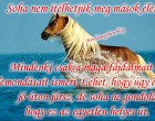 Soha nem ítélhetjük meg mások életét. Mindenki csak a maga fájdalmait és lemondásait ismeri. Lehet, hogy úgy érzed, jó úton jársz, de soha ne gondold, hogy ez az egyetlen helyes út.