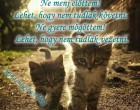 Ne menj előttem! Lehet, hogy nem tudlak követni. Ne gyere mögöttem! Lehet, hogy nem tudlak vezetni. Gyere mellettem és légy a barátom!