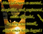 Nem kell engem se szeretni se sajnálni csak megismerni aztán elfogadni ha pedig nem tetszik akkor simán békén hagyni.