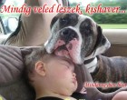 Mindig veled leszek, kishaver...!