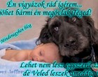 Én vigyázok rád ígérem... jöhet bármi én megóvlak Téged! Lehet nem lesz egyszerű az élet, de Veled leszek ameddig élek...