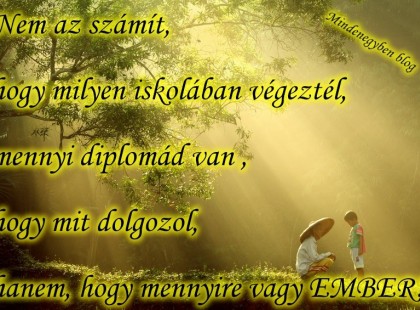 Nem az számít, hogy milyen iskolában végeztél,mennyi diplomád van , hogy mit dolgozol, hanem, hogy mennyire vagy EMBER!