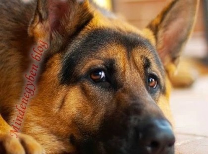 Amikor azt hiszed mindenki magadra hagyott olyankor jusson eszedbe,hogy van valaki aki MINDIG melletted van,volt és lesz!