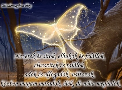 Nevetek és sírok, elbukok és felállok, elveszítek és találok, adok és elfogadok, változok, közben magam maradok, élek, de néha meghalok.