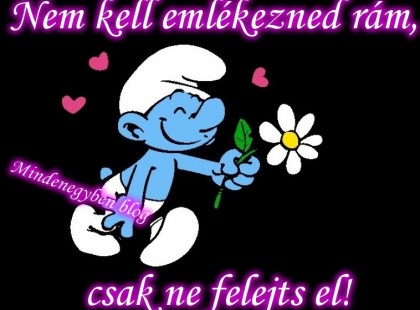 Nem kell emlékezned rám, csak ne felejts el!