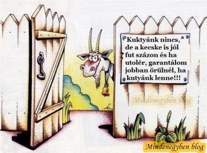 Kutyánk nincs ,de a kecske is jól fut százon.... :)