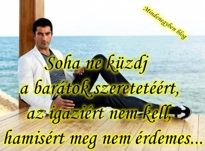 Soha ne küzdj a barátok szeretetéért, az igaziért nem kell, a hamisért meg nem érdemes...