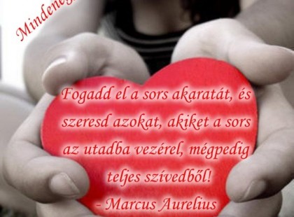 Fogadd el a sors akaratát, és szeresd azokat, akiket a sors az utadba vezérel, mégpedig teljes szívedből! - Marcus Aurelius