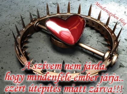 A szívem nem járda.hogy mindenféle ember járja..ezért útépítés miatt zárva!!!