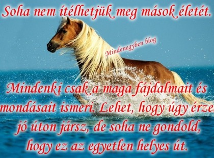 Soha nem ítélhetjük meg mások életét. Mindenki csak a maga fájdalmait és lemondásait ismeri. Lehet, hogy úgy érzed, jó úton jársz, de soha ne gondold, hogy ez az egyetlen helyes út.