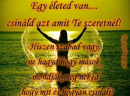 Egy életed van. .csináld azt amit Te szeretnél!Hiszen szabad vagy, ne hagyd hogy mások mondják meg neked ,hogy mit és hogyan csinálj!