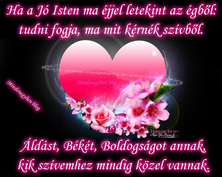 legjobb szex alkalmazások Androidra