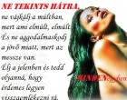Ne tekints hátra, ne vájkálj a múltban, mert ami elmúlt, elmúlt...