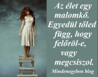Az élet egy malomkő. Egyedül tőled függ, hogy felőröl-e, vagy megcsiszol...