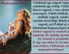 Ember vagyok és vannak rossz napjaim, De mindig mosolygok, ha vannak is gondjaim.