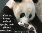 Csak az kedves nekünk igazán, amit féltünk elveszíteni...