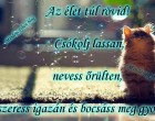 Az élet túl rövid! Csókolj lassan, nevess őrülten, szeress igazán és bocsáss meg gyorsan.